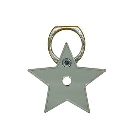Christian Dior クリスチャンディオール スマホリング バンカーリング 小物 ロゴ スター 星型 メタル シルバー