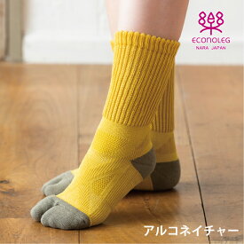 アルコネイチャー タビ 山を歩く靴下 滑らない靴下 メール便対応 滑り止め ウォーキング トレッキング ゴルフ テーピング足袋 クッション付 抗菌 防臭 消臭 吸水 速乾 中空繊維 ウォーキング 西垣靴下 エコノレッグ靴下 靴下 セット 実用的 リカバリー