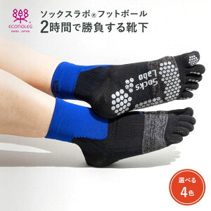 \bNX{tbg{[ erŏЉ T 5{w 2ԂŏC ȂC [ 5{w\bNX _C GRmbO oGNX ~ ޗǎY Jo[