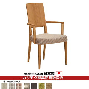 JN _CjO`FA CU45f Dz ItH֎q yCU4500PEzyCOM I[NEHKYQA/U23O[vzyCU4500-U23z