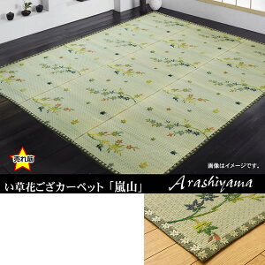 ԂJ[ybg wRx ]ˊ8i348×352cm)yIK-4313608z