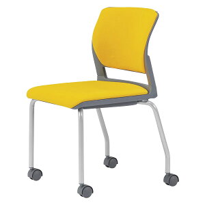 ~[eBO`FAEX^bLO`FA/@a22.2mm@IȂELX^[tE̓hEO[VFyMC-255G-FG3z