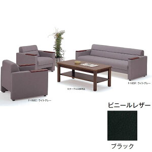 ڃZbg@F-14@3_Zbgi\t@×1AA[`FA×2j@rj[U[iubNjyF-14LSETz