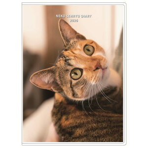 y12420-11159܂ŃGg[2l1lőSz|CgobNzA[gvgWp 26N _CA[ B6TCY  L 1000137359 }X[ 96y[W 10͂܂