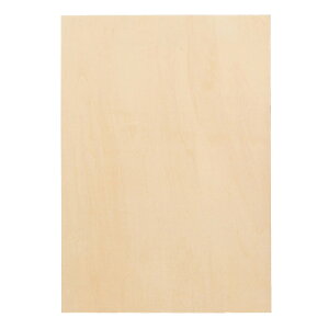 y12420-11159܂ŃGg[2l1lőSz|CgobNzArtec(A[ebN) pl B4p ؕ #13052