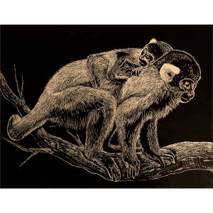 y12420-11159܂ŃGg[2l1lőSz|CgobNzArtec(A[ebN) S[hXNb`{[hA4 #13246