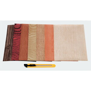 y12420-11159܂ŃGg[2l1lőSz|CgobNzArtec(A[ebN) EbhV[g 7FZbg(Jb^[t) #31402