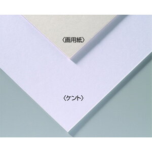 Artec(A[ebN) A&BIWiA[g{[h B3p #143301