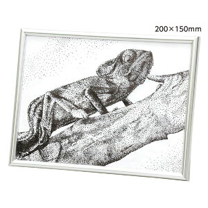 y11/25()24h聚I2l1lőSz|CgobNvGg[zA[ebN yt_`t[200x150mm #13728 p   H| A[g