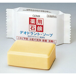 y112024H聚Gg[őSiP10{IzA[ebN pfIhg\[v #51087 qpi ۗpi