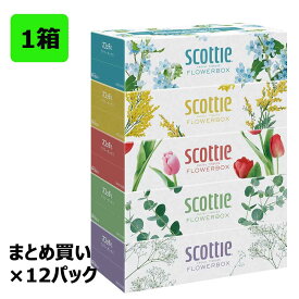 日本製紙クレシア スコッティ ティシュー フラワーボックス 250組 5箱パック ×12パック 1ケース 合計60個 41331 まとめ買い 1箱