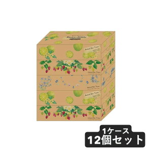 yő2,000~ItCOUPON 121-6959܂ŁzJ~ GA eBbV Kazru×Krafty i` 180W 5pbN 1P[X 12Zbg eBbV BOXeBbV ԕ @