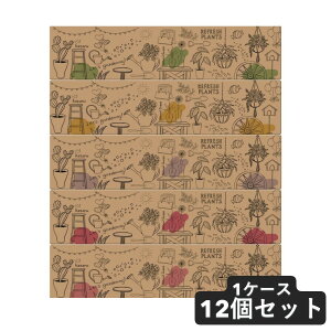 yő2,000~ItCOUPON 121-6959܂ŁzJ~ GA eBbV Kazru×Krafty K[f 180W 5pbN 1P[X 12Zbg eBbV BOXeBbV ԕ @