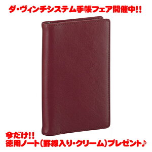 �y���b�s���O�����z�y�������(�L��)�z ���C���C����(Raymay) �_�E���B���`�V�X�e���蒠 �W���X�g���t�B���T�C�Y�E�|�P�b�g ���C�� JDP3009Z �r�W�l�X�X�^���_�[�h �X�[�p�[���C�X���U�[ ����