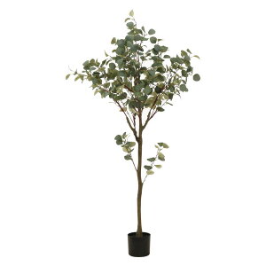 y12420-11159܂ŃGg[2l1lőSz|CgobNzsf tFCNO[ [J 150cm WCg O[ 41120 lHϗtA  CeA   