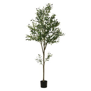 y12420-11159܂ŃGg[2l1lőSz|CgobNzsf tFCNO[ I[u 180cm WCg O[ 41122 lHϗtA  CeA   