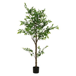 y102420-27959܂ŃGg[2_wP5{E3_ȏP10{zsf tFCNO[ tBJX 160cm WCg O[ 41123 lHϗtA  CeA   rO 