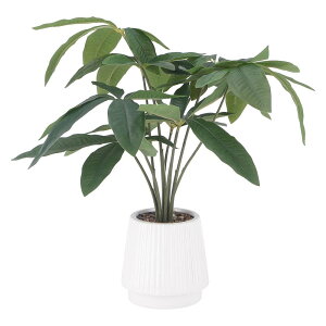 y12420-11159܂ŃGg[2l1lőSz|CgobNzsf tFCNO[ pL Z~bN|bg O[ 41128 lHϗtA  CeA   