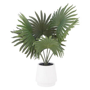 yő2,000~ItCOUPON 111-6959܂Łzsf tFCNO[ i}\E Z~bN|bg O[ 41129 lHϗtA  CeA   rO  A R