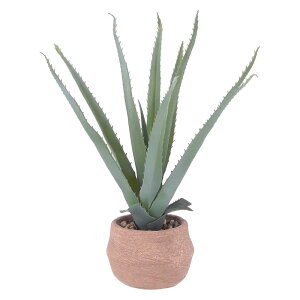 y11/25()24h聚I2l1lőSz|CgobNvGg[zsf tFCNO[ AG STCY Zg|bg O[ 41134 lHϗtA  CeA  