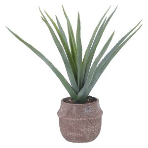 y11/25()24h聚I2l1lőSz|CgobNvGg[zsf tFCNO[ AG MTCY Zg|bg O[ 41136 lHϗtA  CeA  