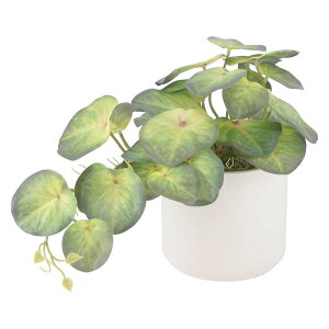 y12420-11159܂ŃGg[2l1lőSz|CgobNzsf tFCNO[ VSjE Z~bN|bg O[ 41137 lHϗtA  CeA  