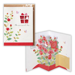 y12520-11159܂ŃGg[2l1lőSz|CgobNzy݌ɏz aj ̃J[h nbs[t[ 2