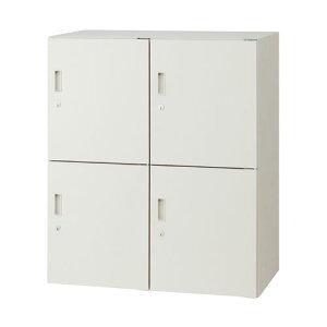 y11/25()24h聚I2l1lőSz|CgobNvGg[zWCebNX X^bNLr bJ[4lp FL-G11 347158