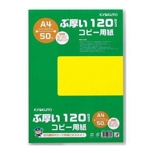 {m[g@LNgE@Ԍ@A4Rs[p@120gsm@PPC120A4