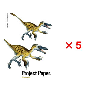 ILi okina vWFNgm[g A5 _Ci\[ 5mm FLvg 5Zbg PN4042  WVbN ċx w qǂ 菑 ׋ wK wZ  m[g