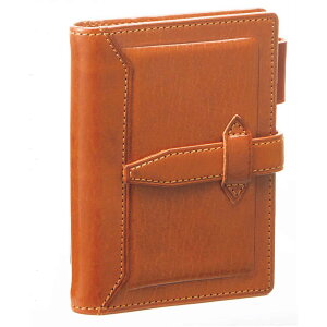 y11420`11159܂őSi|Cg2{zCC raymay _EB` mini5TCY VXe蒠 }NVbN 11mm uE DPM3034C v v XPW[ d \ F