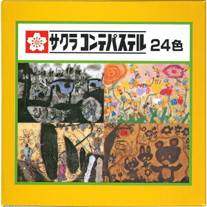 TNNpX TNRepXe 24F CT24  N `ޗ