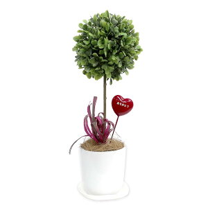 y12420-11159܂ŃGg[2l1lőSz|CgobNzyzyTTKz lHϗtA {bNXEbh STCY 32-8704