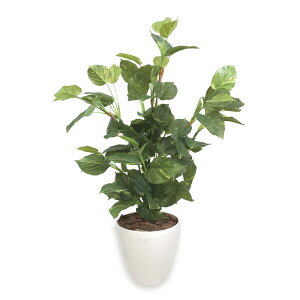 y12420-11159܂ŃGg[2l1lőSz|CgobNzyzyTTKz lHϗtA }l[c[ LTCY 32-8718