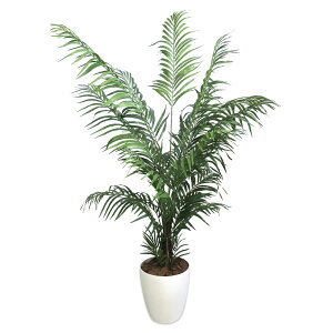 yő2,000~ItCOUPON 121-6959܂ŁzyzyTTKz lHϗtA AJV LTCY 32-8724