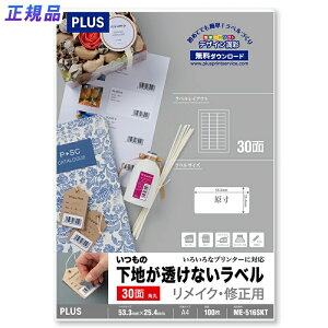 y112024H聚Gg[őSiP10{IzvX(PLUS)x ̉nȂx CNECp A4 30 100 ME-516SKT @45-044