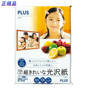 y91524H聚Gg[őSiP10{IzvX(PLUS)CNWFbgp ꂢȌ A4 100 p IT-221GC@46-064