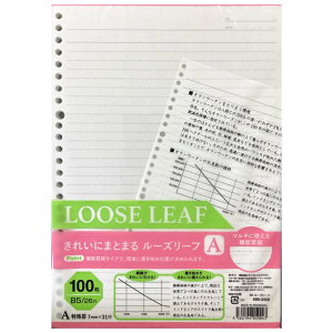 yő2,000~ItCOUPON 111-6959܂ŁzTtCWp@SFJ@hbgr[Y[t@100@Ar@500-2458@5002458