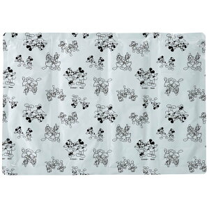 yő2,000~ItCOUPON 111-6959܂ŁzXP[^[ Skater p}bg ~bL[tY CLMT13