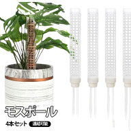 植物サポート ポトス 連結可能 モンステラ 【4本セット】モスポール つる植物 観葉植物 ガーデニング支柱…