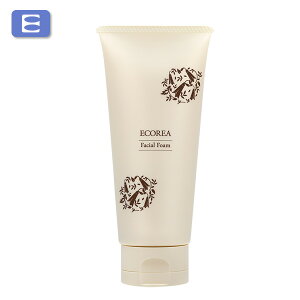 GR[A Ƃ΂tH[@100g@΂@Gfg_Y@@Eʊܕsgp@mVR@zsgp@ɗD@ɂ₳@ێ@px