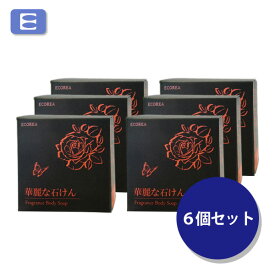 エコーレア　華麗な石けん　6個セット【送料無料】[せっけん　石鹸　汗臭 加齢臭 ミドル脂臭 男臭 足の臭い 女性の臭い 子供の体臭 ワキガ対策　柿渋　植物ポリフェノール　合成界面活性剤不使用　無添加　爽やかな香り　固形石けん　ECOREA]