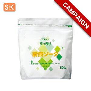 yLy[izGXP[Ό@ Y_\[_ eʁF500g@[p@䏊p@XP[Ό@SK@΂@@Eʊܕsgp@Y@XbL@i`N