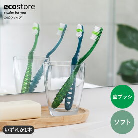 【11日1:59迄★最大1400円オフCP配布中】【エコストア公式】ecostore デンタルブラシ / ソフト ナチュラル 歯ブラシ オーラルケア 歯磨き スーパーセール