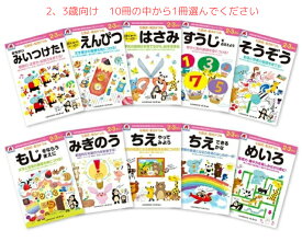 【 2歳 3歳 10冊から1冊選ぶ】 七田式知力ドリル 子供用 人気 幼児七田式
