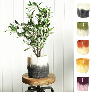 ykG XEF[f Jo[ Aؔ z FLOWER POT 18 L / aveva(ABo)
