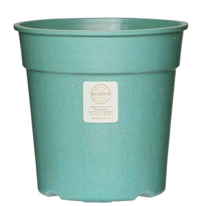 �A�ؔ� 5.5�� �y�� ������� �v�����^�[ / ecoforms �G�R�t�H�[���Y Grower16A(�O�����[16A) / �Ă̂��݊k �T�X�e�i�u�� ���� ���O
