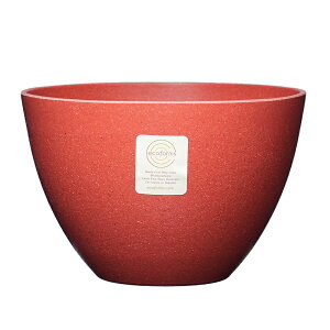 y Aؔ 6z Bowl7({E7) / ecoforms(GRtH[Y)yEOE킢z