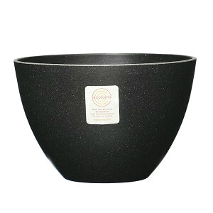 y Aؔ 6z Bowl7({E7) / ecoforms(GRtH[Y)yEOE킢z