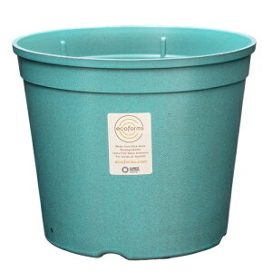 y Aؔ 10zGrower5G (O[5G) / ecoforms (GRtH[Y)yOE킢z